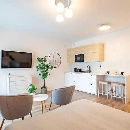 Rooftop Access - French Balcony - Апартаменты Будапешт